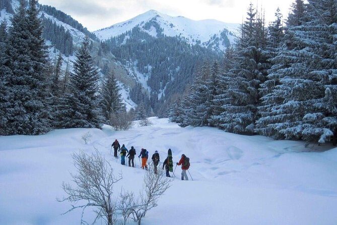 1-day Backcountry Tour - Key highlights worth your attention
