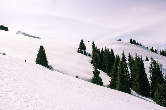1-day Backcountry Tour - Almaty Meets the Zailiyskiy Alatau: Why This Day Tour Works