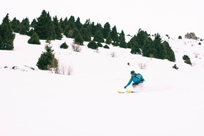 1-day Backcountry Tour - Price and Value: Is $156.49 for a One-Day Tour Worth It?
