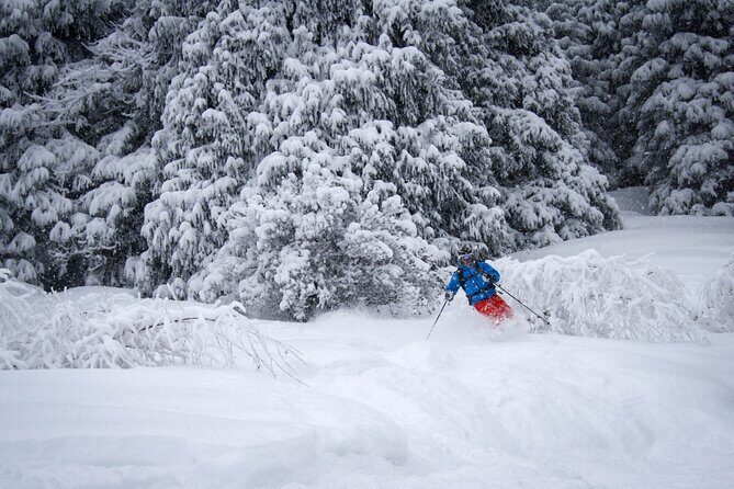 1-day Backcountry Tour - Pickup, Meeting Point, and What the 8:00 Start Means