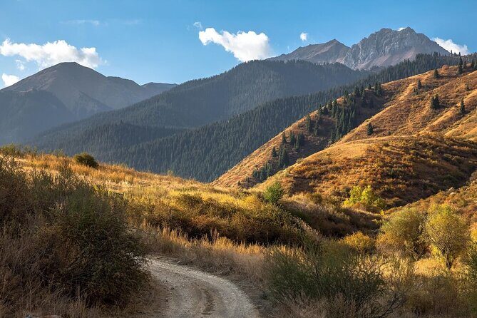 2 Days Tour: Charyn Canyon, Kaindy & Kolsay Lakes - Kaindy Lake: a landslide story you can see with your eyes