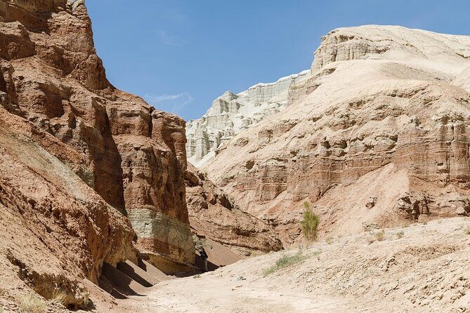3 Days Tour: Altyn Emel NP, Charyn Canyon, Kaindy & Kolsay Lakes - Getting up at 5:00 am and still enjoying the day