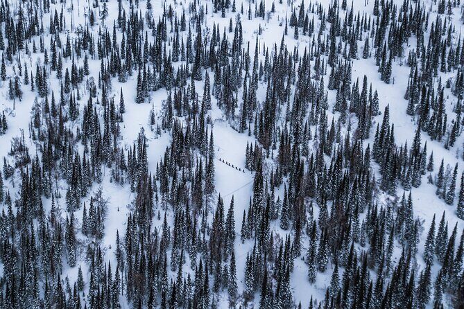 6-Day Kazakhstan Ridder Camp Ski Private Guided Tour and Adventure - Key Things You’ll Care About Most