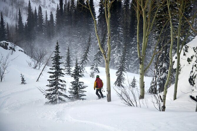 6-Day Kazakhstan Ridder Camp Ski Private Guided Tour and Adventure - Days 2–5: Ski Touring on Ridges With Deep Powder Focus