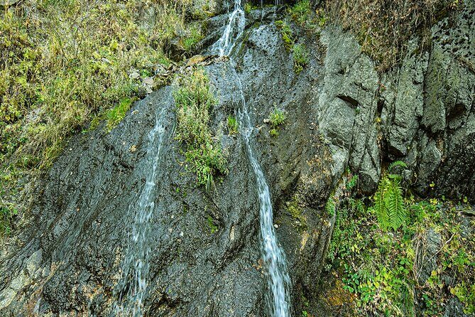 Alma-Arasan gorge tour - Forest Time and the Fresh-Air Break (Vitamin C Claims Included)