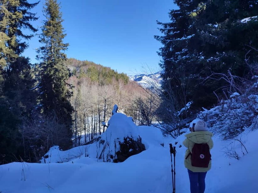 Almaty: Hiking to the High Mountain Pasture Kok Zhailau - Forest paths and mountain panoramas that change as you climb