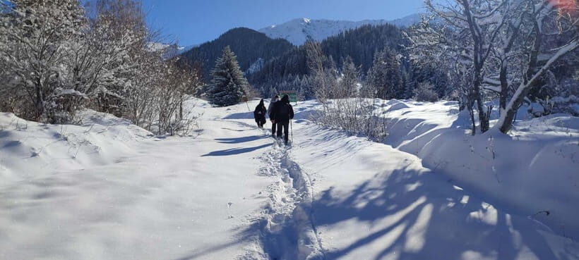 Almaty: Hiking to the High Mountain Pasture Kok Zhailau - Who this hike suits (and who should skip it)