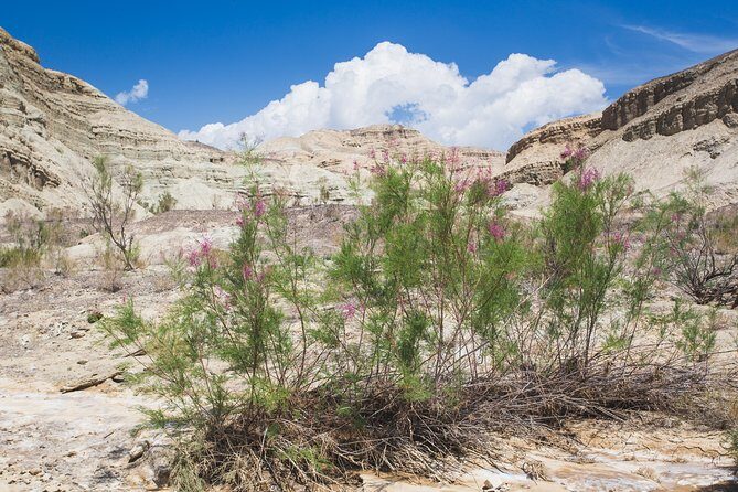 Altyn Emel. Singing dune and Aktau mountains 2 days tour - Getting from Almaty: pickup, timing, and why it matters