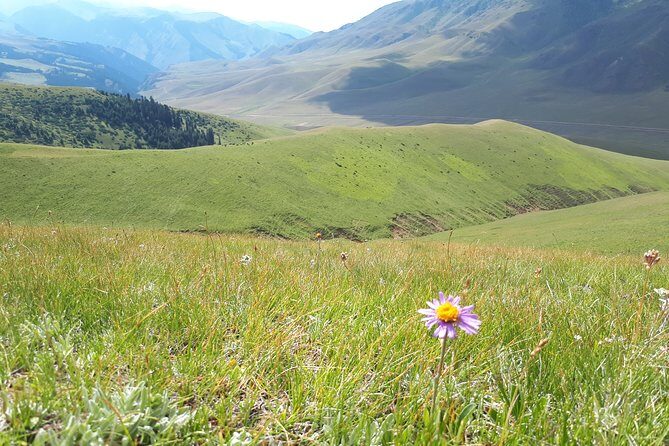 Assy Plateau - Waterfalls, flowers, and a whole lot of quiet