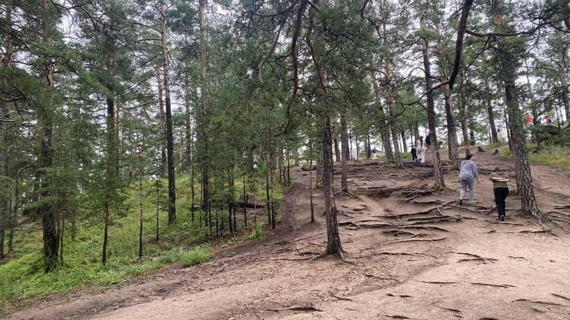 Astana: Burabay Oasis National Park Adventure - Abylaikhan Meadow Walk: Pine-Forest Breathing Time