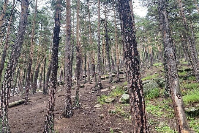Astana: Burabay Oasis National Park Unforgettable Adventure - From Astana to Burabay: why this feels like a reset