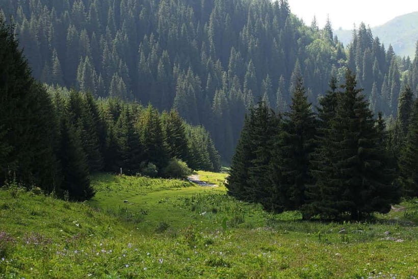 "Butakovka Waterfall" - a half day tour - Butakovka Waterfall near Almaty: the kind of nature stop it is
