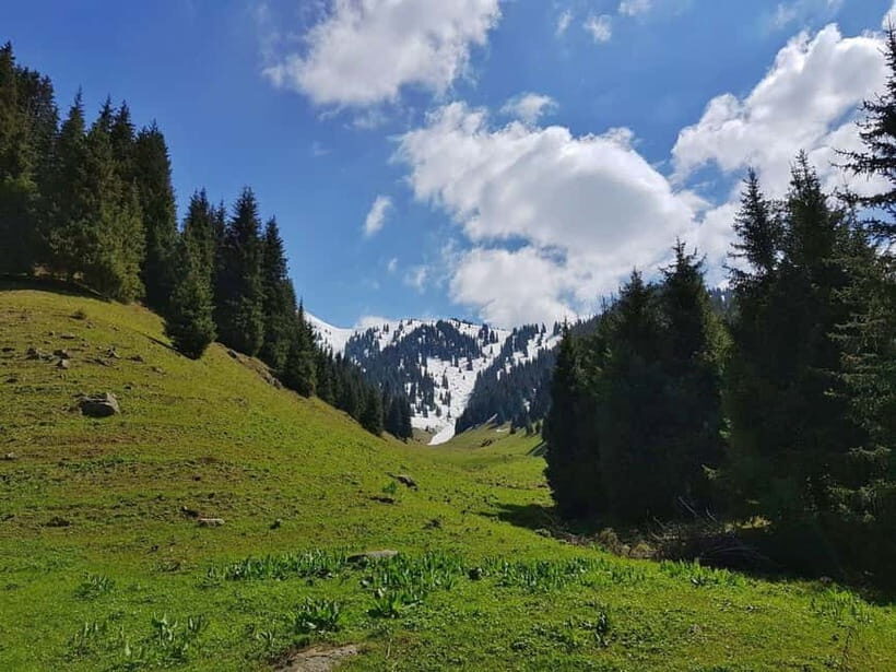 "Butakovka Waterfall" - a half day tour - The 3.5-hour hike: pace, footing, and the last stretch
