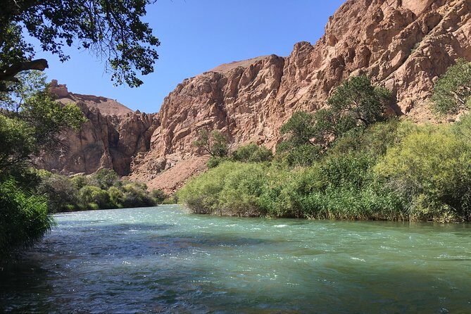 Charyn Canyon Private tour from Almaty, 1 day - Private Pickup in Almaty: How the Day Gets Going