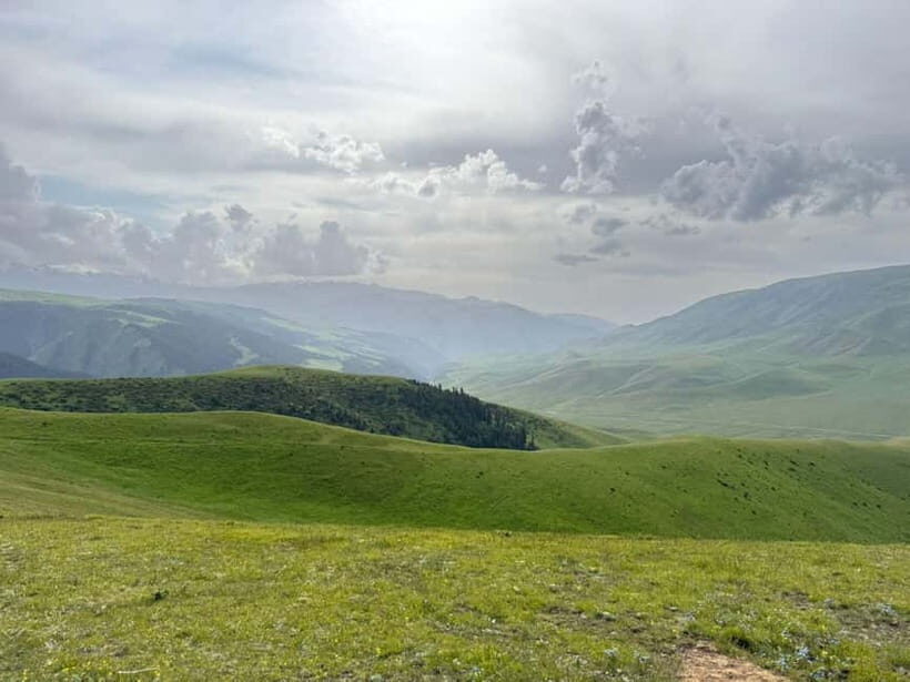 Day Trip by SUV: Turgen Waterfall & Assy Plateau Adventure - Turgen Gorge and Bear Waterfall: The Pine Forest You Can Actually Hear