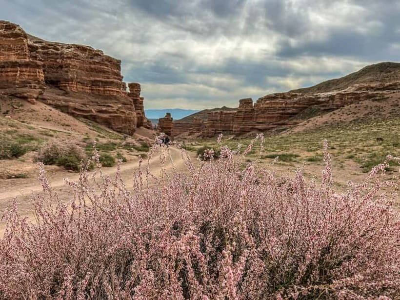 From Almaty: Charyn Canyon Full-Day Trip with Boxed Lunch - Charyn Canyon and the Valley of Castles: the big reason to go