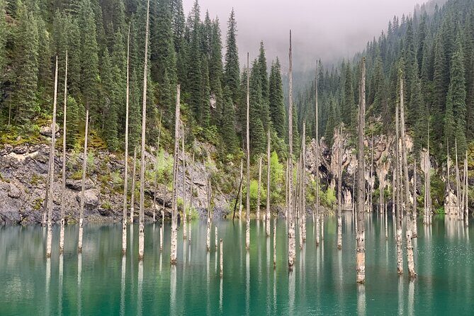 One Day Private Kolsay Lake, Charyn and Black canyon - 5:00 am pickup at Best Western Plus Atakent Park Hotel: timing and car reality