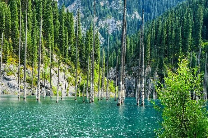 One day Private Tour to Charyn Canyon, Kaindy and Kolsay Lakes - Kaindy Lake: The Flooded Forest and the Saty Village Stop