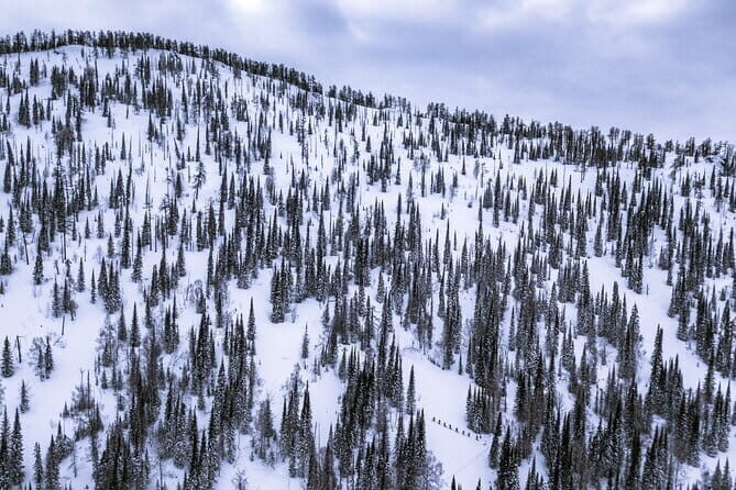 One Day Ski Tour Near Almaty - Backcountry skiing near Almaty, planned for real-world conditions