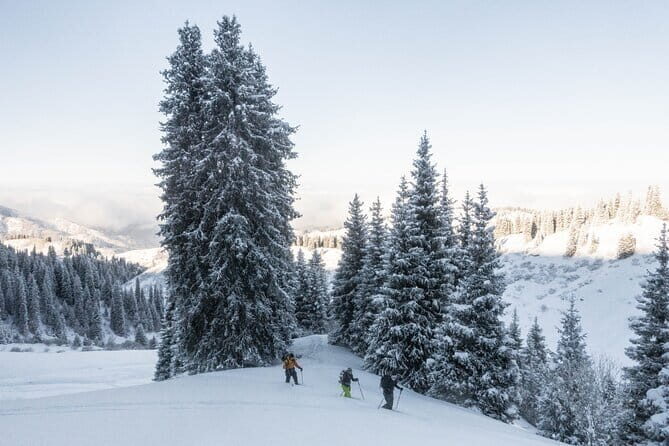 One Day Ski Tour Near Almaty - Should you book this one-day ski touring trip near Almaty?