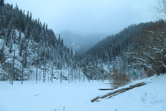 Private Charyn Canyon, Kolsai Lake with Optional Kaindy Lake tour - Kolsai Lake (Stop 1): 2 Hours of Alpine Water Views