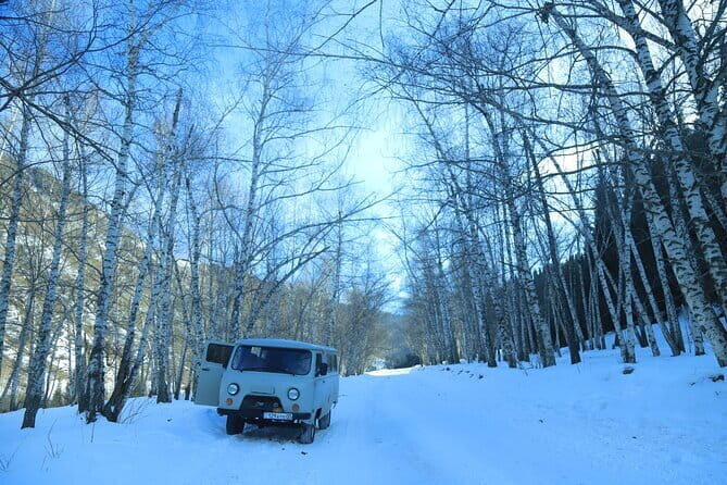 Private Charyn Canyon, Kolsai Lake with Optional Kaindy Lake tour - Guides and Drivers: Why People Keep Mentioning Erasyl