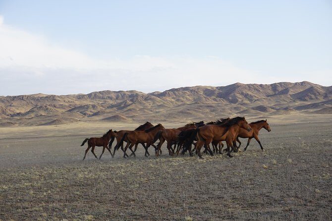 Private tour from Almaty Charyn canyon on Comfortable SUV - Back in Almaty: finishing with a city window
