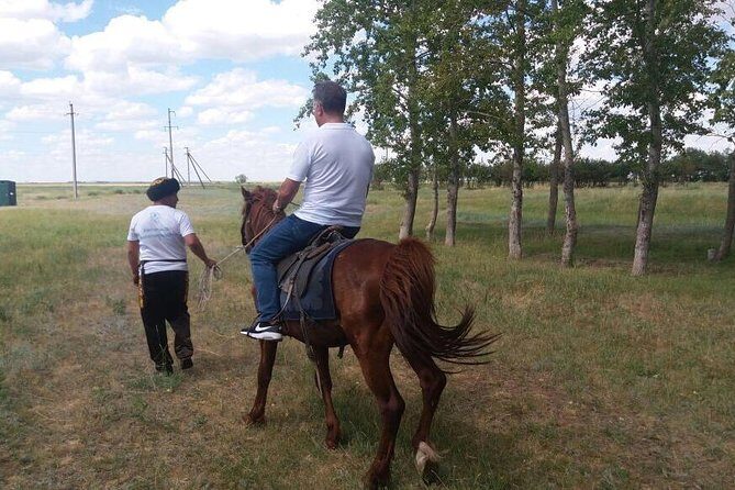 Trip to Kazakh family of Eagle hunters in Astana (6 hours) - Berkut with endangered golden eagles: the show and the meaning