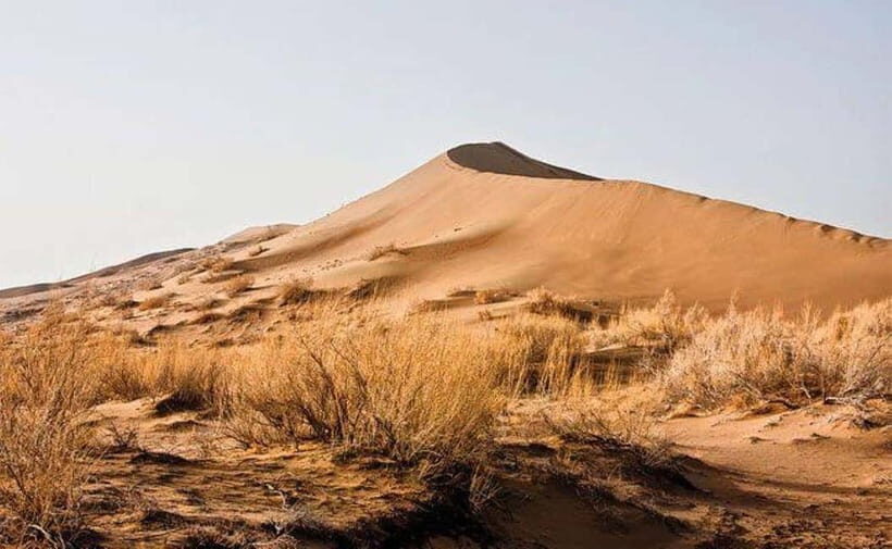 Two Day Tour to Altyn Emel: Singing Dune and Aktau Mountain - Guide factor: what a small group changes